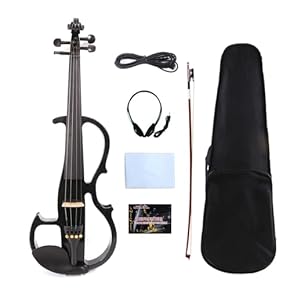 【古楽器】 ヴィオラ・ダモーレ 6+6弦 新品弓・ケースセット 古楽器】 ヴィオラ・ダモーレ 6+6弦 新品弓・ケースセットの通販